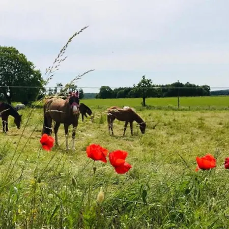 בית נופש Pfeiffer