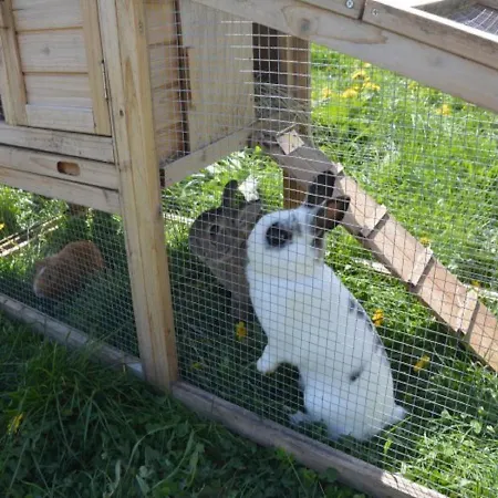 בית נופש Pfeiffer