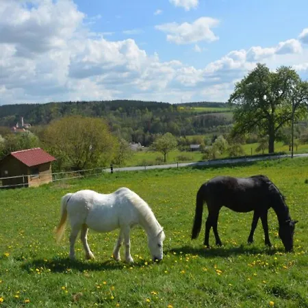 Pfeiffer בית נופש